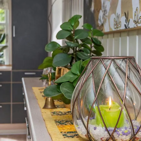 12 Person In Holiday home